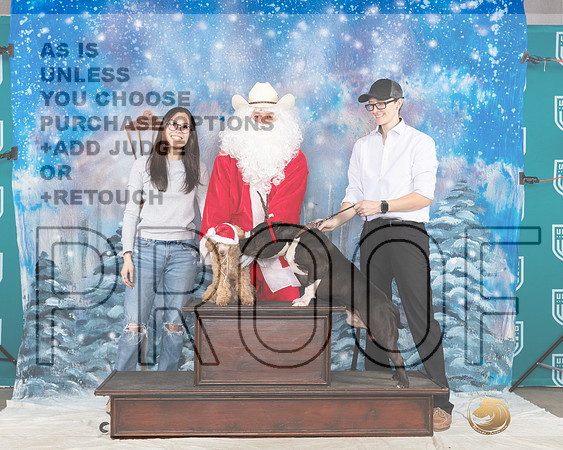 Poodle #337 Sat Santa__JP_3446_UKCBelton2023-HR3