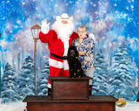 Poodle Miniature #221 Sat Santa