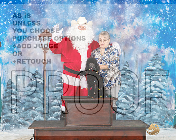Poodle Miniature #221 Sat Santa__JP_3222_UKCBelton2023-HR3