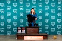 Poodle Miniature #420 Fri G2CH Judge Nina Marie Sherrer