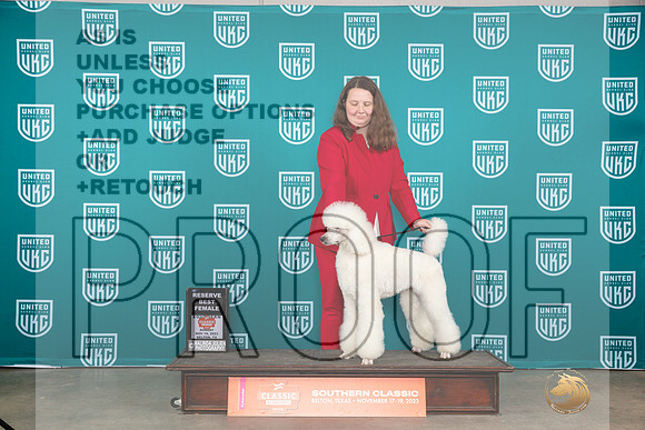 Poodle Std #? Fri B=RF Judge Nina Marie Sherrer__JP_4070_UKCBelton2023-HR3