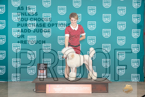 Poodle Std #329 Sat BOW Judge Joseph Gubry__JP_3517_UKCBelton2023-HR3
