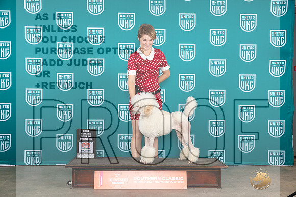 Poodle Std #329 Sat BOW Judge Joseph Gubry__JP_3519_UKCBelton2023-HR3