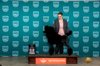 Poodle Std #338 Sun BOW Judge Karen Hynek