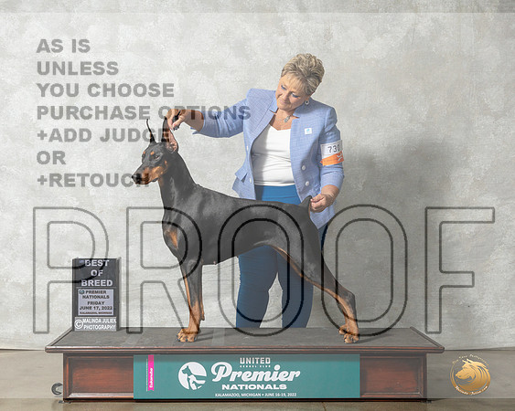 Doberman Pinscher #882 Fri BOB Judge Sandra Kowalski__MJ_7766_Premier_2022_HR3