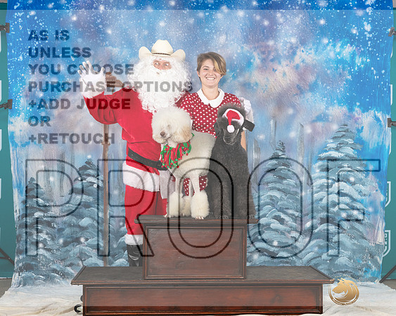 Poodle Std #392 Sat Santa__JP_3284_UKCBelton2023-HR3