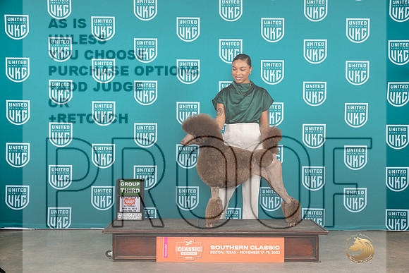 Poodle Std #347 Sat G3 Judge Polly Drake Jones__JP_3655_UKCBelton2023-HR3