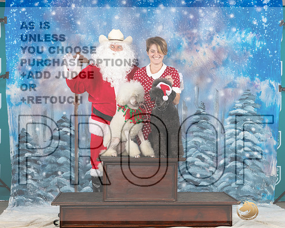 Poodle Std #392 Sat Santa__JP_3290_UKCBelton2023-HR3