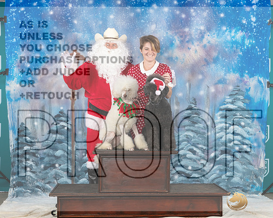 Poodle Std #392 Sat Santa__JP_3289_UKCBelton2023-HR3