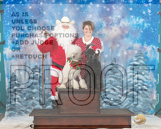 Poodle Std #392 Sat Santa__JP_3288_UKCBelton2023-HR3