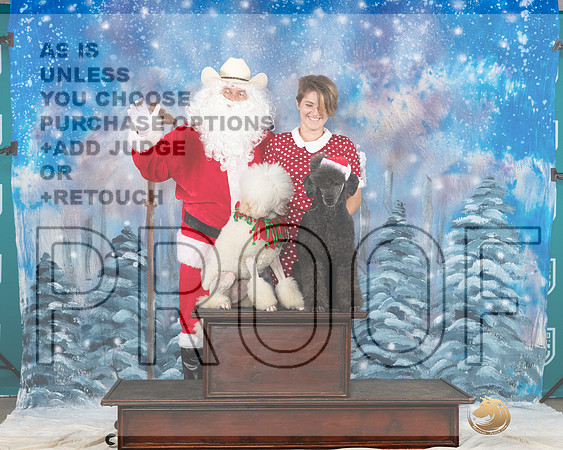 Poodle Std #392 Sat Santa__JP_3293_UKCBelton2023-HR3