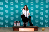 Poodle Std #405 Fri2 BOW Judge