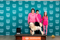 Poodle Std #432 Sat