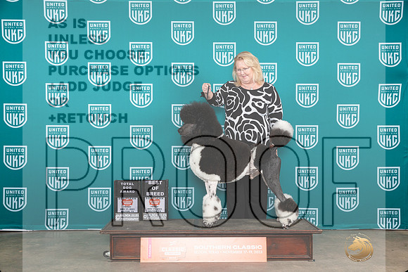Poodle Std MC #123 Fri BOBTD Judge Nina Marie Sherrer__JP_2963_UKCBelton2023-HR3