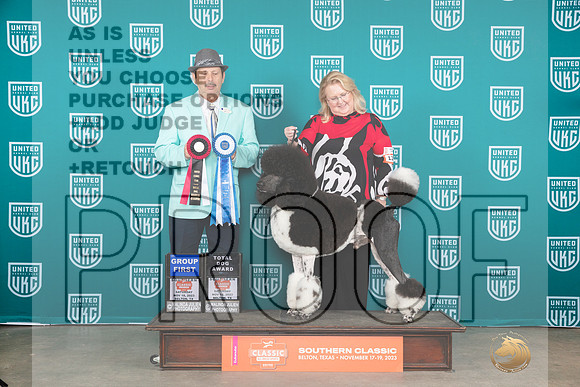 Poodle Std MC #123 Sat G1TD Judge Joe Gubry__JP_3645_UKCBelton2023-HR3