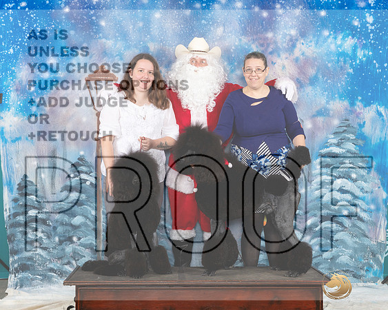 Poodles Ken Dala Santa__JP_3129_UKCBelton2023-HR3
