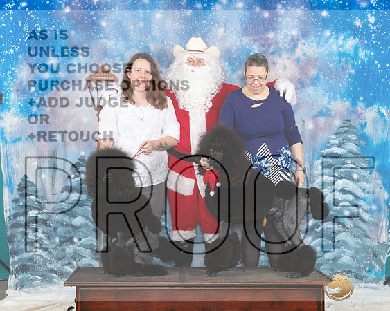 Poodles Ken Dala Santa__JP_3134_UKCBelton2023-HR3