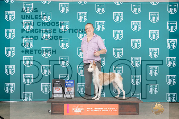 Portuguese Podengo #201 Sun G1CH Judge Joseph Gubry__JP_3985_UKCBelton2023-HR3