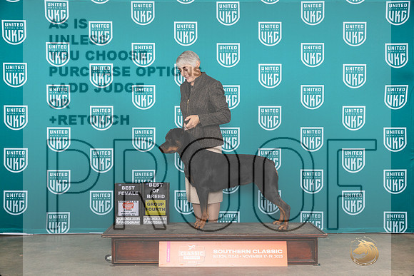 Rottweiler #191 Fri BFBOBG4 Judge Antonio Raposo__JP_2817_UKCBelton2023-HR3
