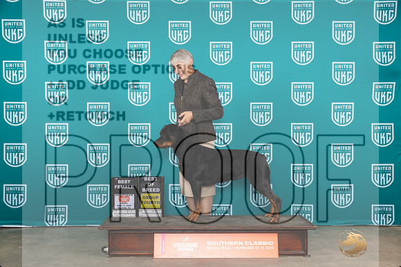 Rottweiler #191 Fri BFBOBG4 Judge Antonio Raposo__JP_2818_UKCBelton2023-HR3