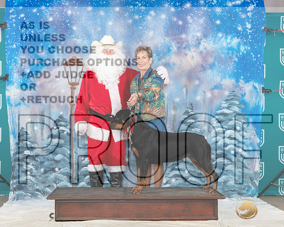 Rottweiler #227 Sat Santa__JP_3473_UKCBelton2023-HR3