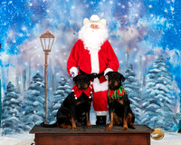 Rottweilers Sat Santa