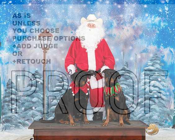 Rottweilers Sat Santa__JP_3214_UKCBelton2023-HR3