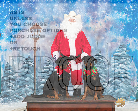 Rottweilers Sat Santa__JP_3220_UKCBelton2023-HR3