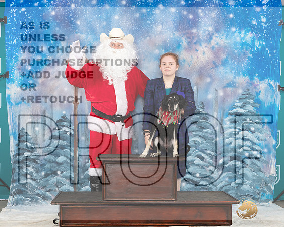 Saluki Sat Santa__JP_3318_UKCBelton2023-HR3