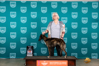 Silken Windhound #183 Fri1 BOW Judge Polly Drake Jones