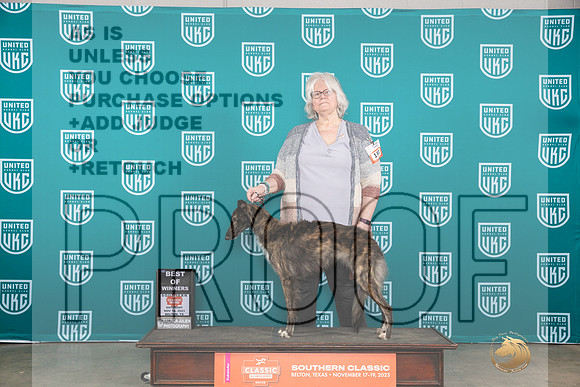Silken Windhound #183 Fri1 BOW Judge Polly Drake Jones__JP_3692_UKCBelton2023-HR3