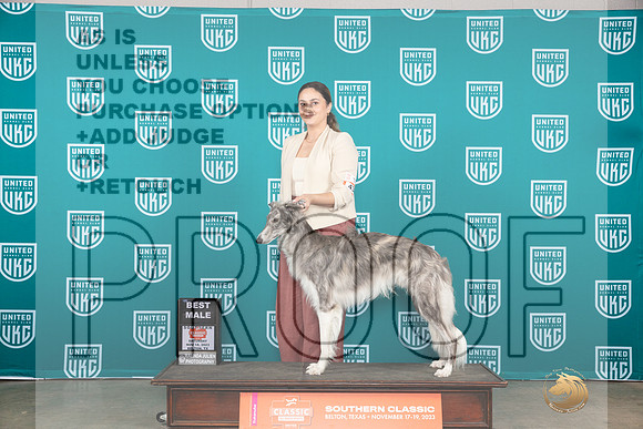 Silken Windhound #433 Sat BF Judge Carianna Glenn__JP_3820_UKCBelton2023-HR3
