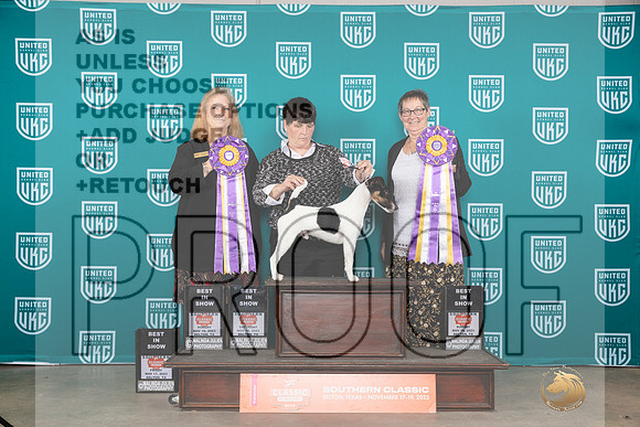 Smooth Fox Terrier BIS__JP_4287_UKCBelton2023-HR3