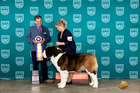 St Bernard #184 Fri1 RBIS Judge Antonio Raposo