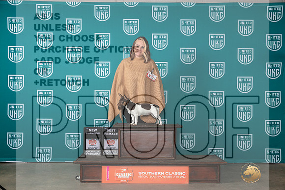 Teddy Roosevelt Terrier #311 BFCH Judge Nina Marie Scherrer__JP_4046_UKCBelton2023-HR3