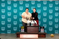 Teddy Roosevelt Terriers #365 #366