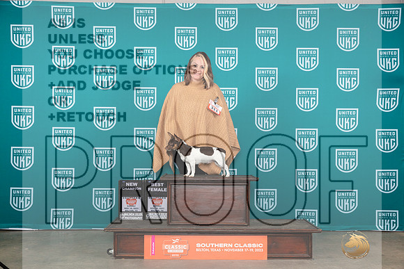 Teddy Roosevelt Terrier #311 BFCH Judge Nina Marie Scherrer__JP_4047_UKCBelton2023-HR3