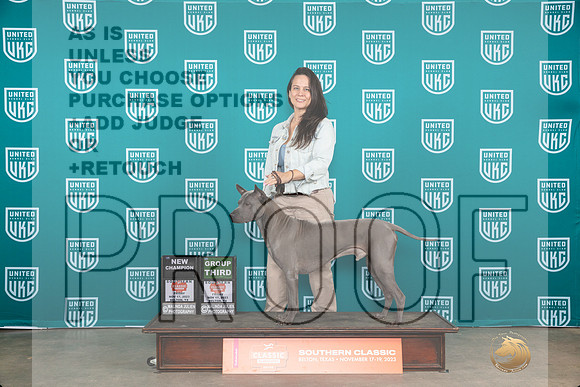 Thai Ridgeback #159 Fri CHG3 Judge Karen Hynek__JP_2847_UKCBelton2023-HR3