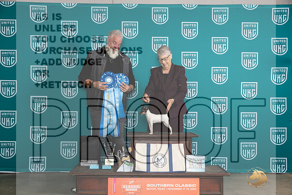 Toy Fox Terrier #? National Judge Matthew Proctor__JP_3699_UKCBelton2023-HR3