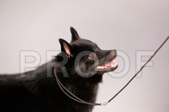 _RH_8375-CarlrolltonSept2014-HR3