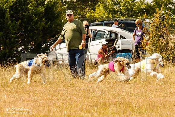_MJ_5222-AfgBeltonOct2014-HR3