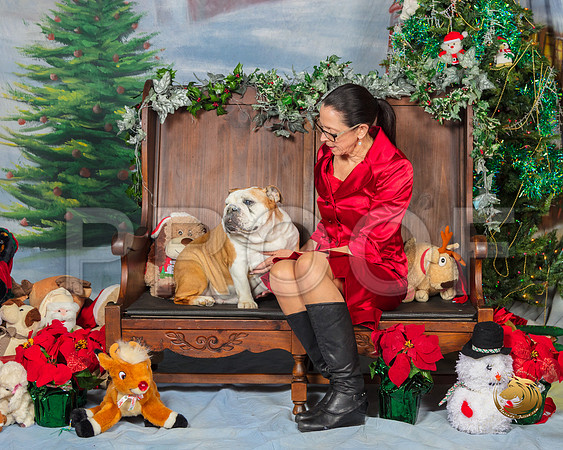 Bulldog Judy Betty_SSR_6408-©MalindaJulien.com-HR3