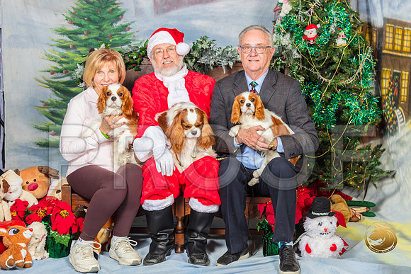 Cavalier King Charles Shirley Henry_SSR_6398-©MalindaJulien.com-HR3