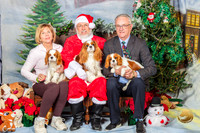 Cavalier King Charles Shirley Henry