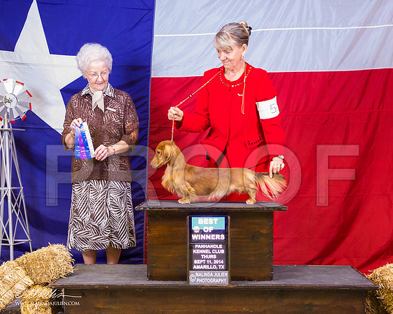 _ST_1361-AmarilloSep2014-HR3