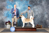 Akita #8 BOSM Judge Eric Liebes