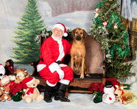 Rhodesian Ridgeback Deb Pekins