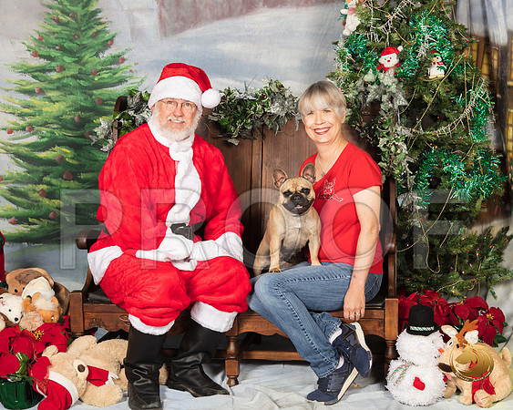 Pug Meggie_SSR_6528-©MalindaJulien.com-HR3