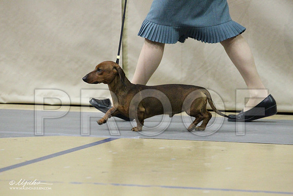 DachS-7695LR