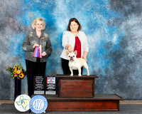 Cindy Knox Abilene 2024